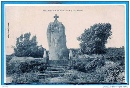 22 - PLEUMEUR BODOU --  Le Ménhir