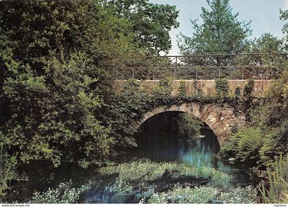 29-PLONEVEZ DU FAOU-N°2876-D/0157