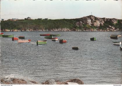 29 - PLOUDALMEZEAU - Portsall - Le Port