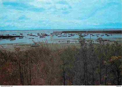 Carte Postale - 29 - Plouescat - Le Port de Pors Guern - Flamme Postale - Voir Scans Recto Verso