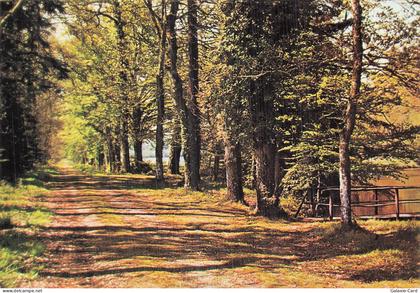 22 PLOUFRAGAN LES CHATELETS SOUS BOIS