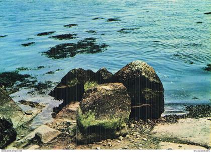 29 PLOUHINEC L OCEAN