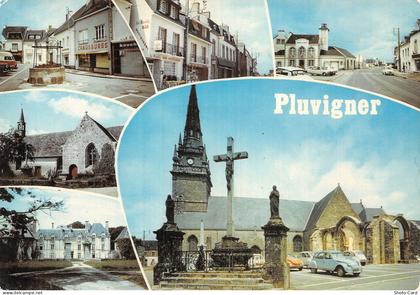 56 PLUVIGNER
