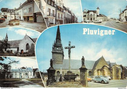 56 PLUVIGNER