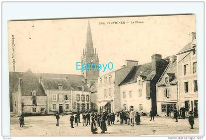 B - 56 - PLUVIGNER - la place