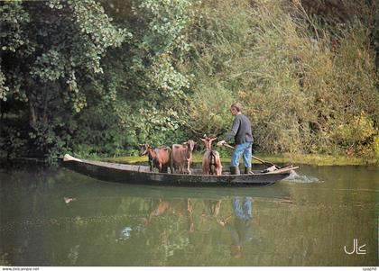CPM Le Marais Poitevin Transport d'animaux Chevre
