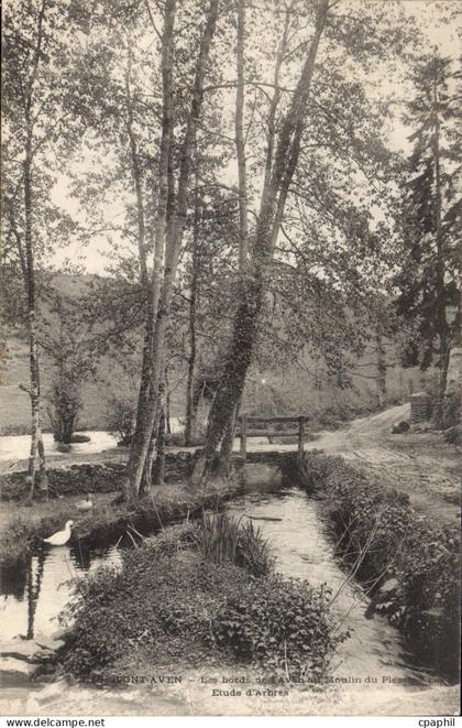 CPA Pont Aven Les Bord De Aven moulin du plessis