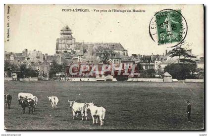 CPA Pont L'Eveque vue prise de l'herbage des Hunieres Vaches