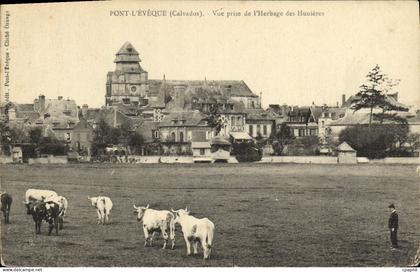 CPA Pont L'Eveque vue prise de l'herbage des Hunieres Vaches