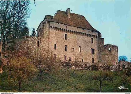 Carte Postale - 23 - Pontarion - Le Château - CPM - Voir Scans Recto-Verso - Poscard - Carta Postal -  Postkarte