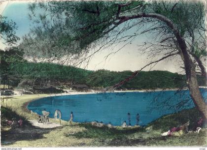 CPSM Ile de Porquerolles La Plage d'Argent