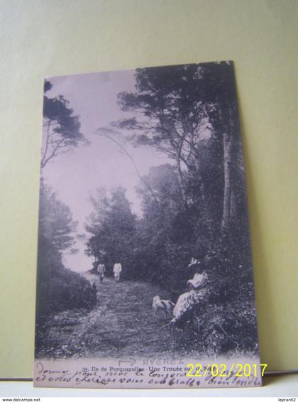 ILE DE PORQUEROLLES (VAR) HYERES. UNE TROUEE SUR LA MER.