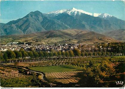 66 - Prades - Vue Générale et le Massif du Canigou - CPM - Voir Scans Recto-Verso