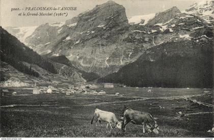 CPA Pralognan la Vanoise et le Grand Marchet Vaches