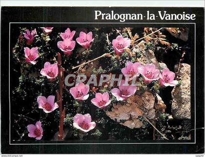 CPM Pralognan la Vanoise