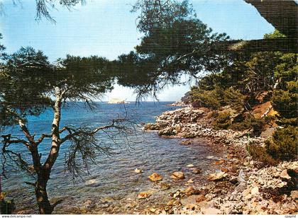 CPM Lumiere et Beaute de la Cote d'Azur Les eaux limpides d'une calanque