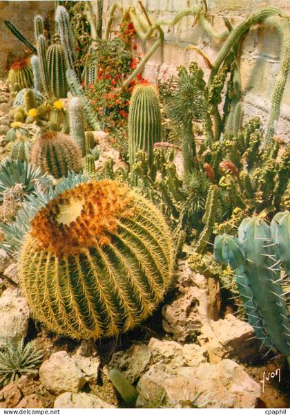 CPSM La Cote d'Azur miracle de la nature Jardin exotique de Sanary Bandol (Var) Un des nombreux coin