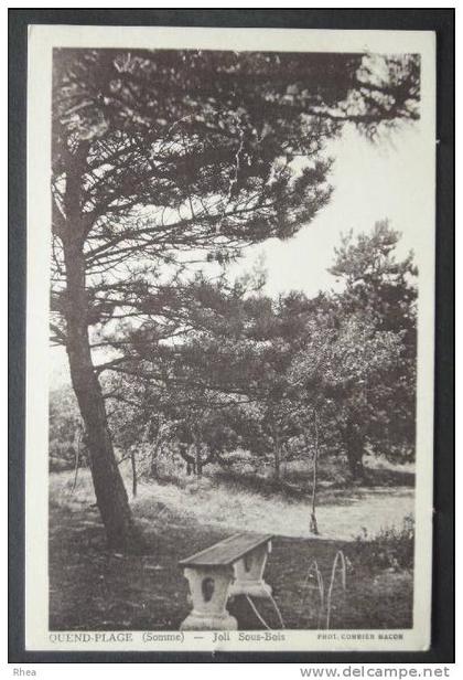 80 Quend bois sépia D80D K80688K C80649C RH048613