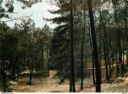 80 - Quend - Sous-bois - Forêt - CPM - Voir Scans Recto-Verso