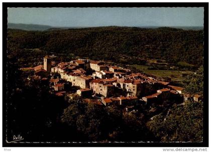 83 Ramatuelle vue aerienne D83D K83119K C83101C RH079685