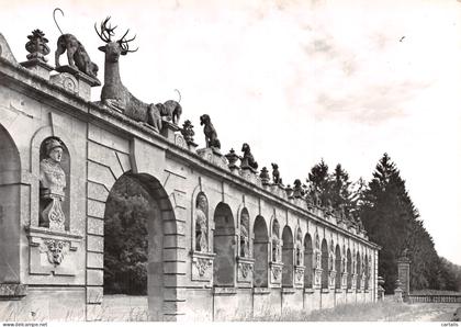 60-RARAY-N°C-4353-B/0249