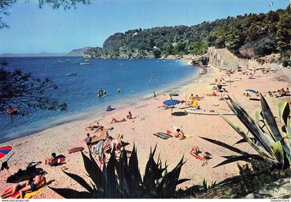 83 LE RAYOL CANADEL SUR MER