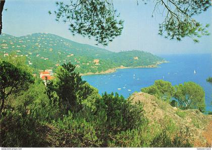 83 LE RAYOL CANADEL SUR MER ECHAPPEE SUR LE RAYOL