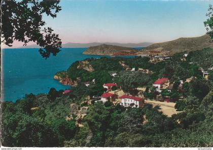 83 - RAYOL CANADEL SUR MER - Le Cap Nègre - Au fond: le Cap Benat