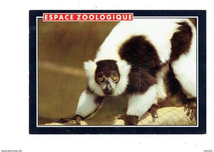 cpm - 42 -  Rive de Gier - espace zoologique de Saint Martin la Plaine - LEMUR VARI -