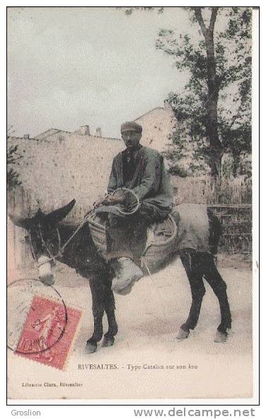 RIVESALTES TYPE CATALAN SUR SON ANE 1905 (BARTHELEMY RANCIERE ET SON MULET DE 2M 05 )