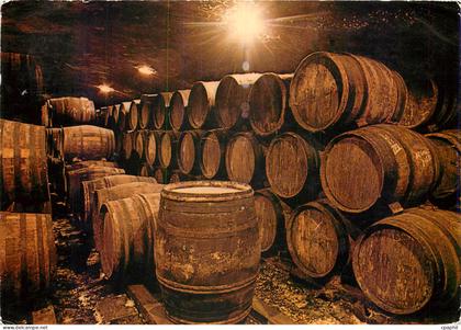 CPM Le Roussillon terroir des Rivesaltes Caves en Roussillon