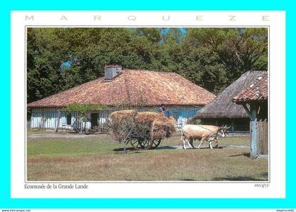 a769 / 055 40 - SABRES Marqueze La Maison de maitre