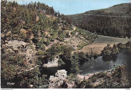 48-SAINT ALBAN SUR LIMAGNOLE-LE COIN DES CAMPEURS-N°7087-B/0103