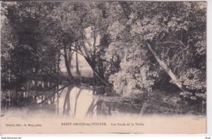 SAINT AMAND EN PUISAYE(ARBRE)