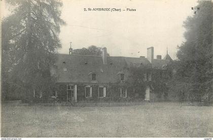 CPA St Ambroix (Cher) Plutes