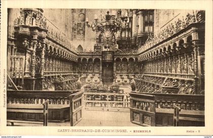 CPA Saint Bertrand De Comminges Ensemble