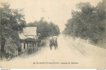 CPA Saint-Brevin-les-Pins 44/356