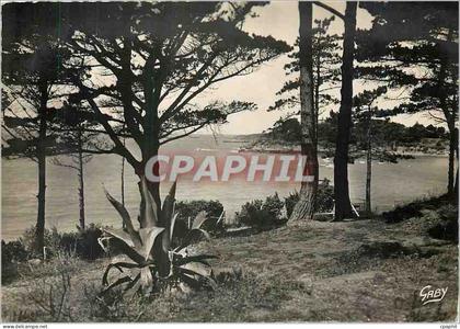 CPM Saint Briac L et V La Pointe des Essarts