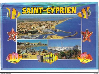 CP SAINT-CYPRIEN
