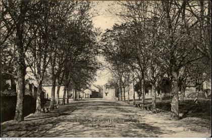 44 - SAINT ETIENNE DE MONTLUC - Le Boulevard -