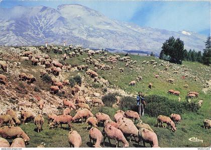 5 SAINT ETIENNE EN DEVOLUY LES ENVIRONS DE SUPER DEVOLUY