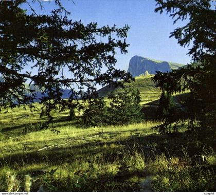 CPSM St Etienne en Devoluy Htes Alpes super Devoluy