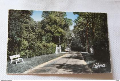 Cpsm, Saint Fargeau, avenue de la gare, Seine et Marne 77