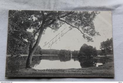 Cpa 1909, Saint Fargeau, la pièce d'eau du château, Yonne 89