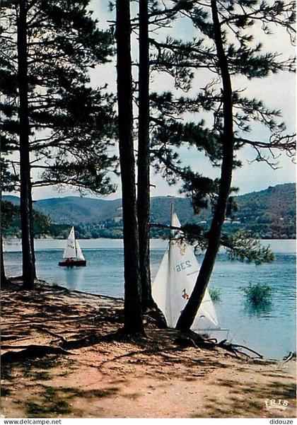 31 - Saint Ferreol - CPM - Voir Scans Recto-Verso