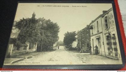 SAINT -FLORENT DES BOIS *-N°122*-    route de la Roche