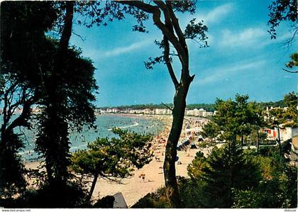 Carte Postale - 17 - Saint Georges de Didonne - Corniche de Royan à Saint Georges de Didonne - La Plage de Valliéres - C