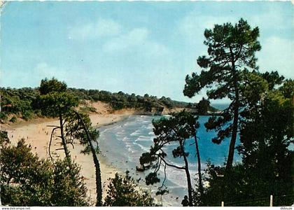 Carte Postale - 17 - Saint Georges de Didonne - Corniche de Saint Georges de Didonne à Meschers - Plage de Suzac - CPM -