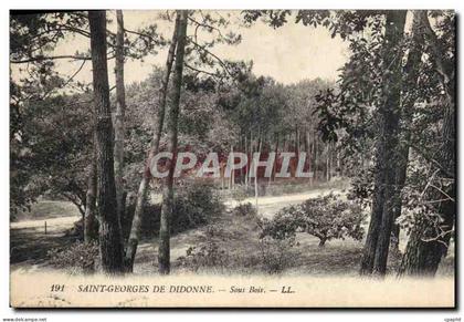 CPA Saint Georges de Didonne Sous Bois