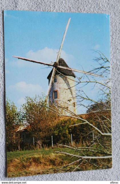 Cpm 1983, Saint Gilles croix de Vie, le moulin de Rairé, Vendée 85